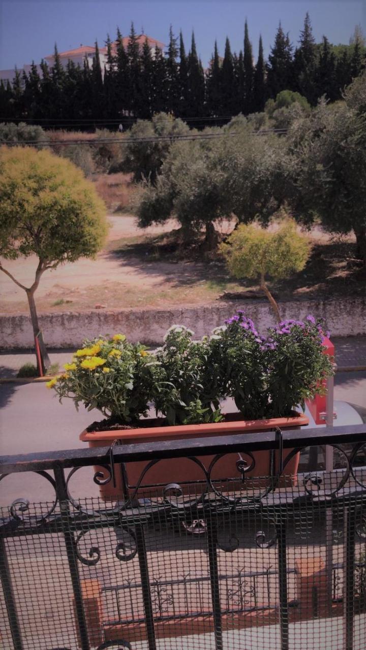 La Campina Pansiyon Ronda Dış mekan fotoğraf